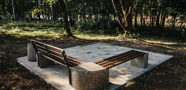 Скамейка в парке после благоустройства