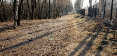 Грунтовая дорожка на территории парка до благоустройства
